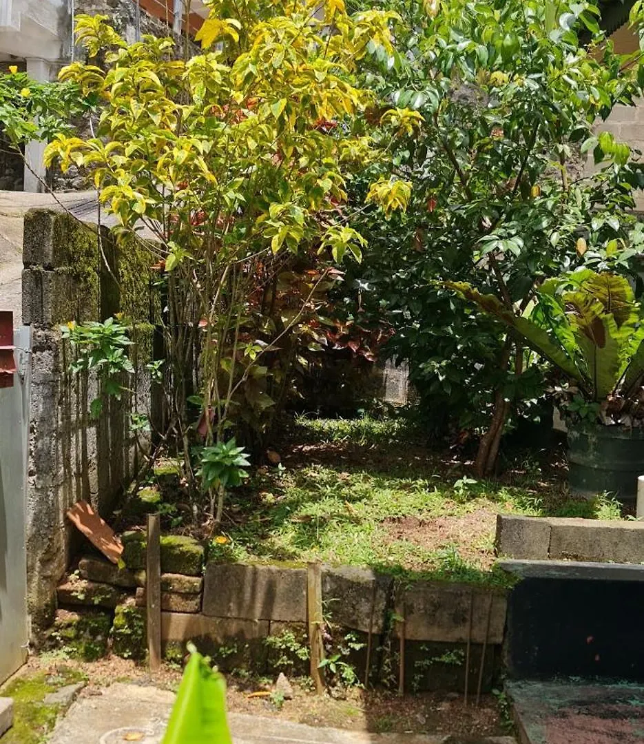 Wagi Villa 