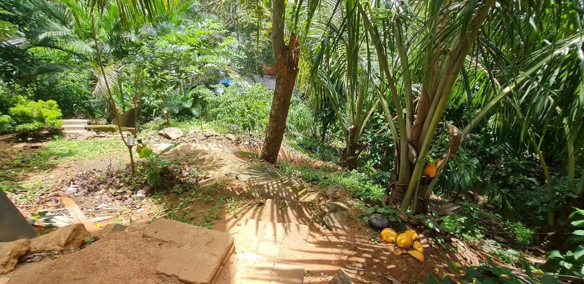 Wagi Villa 
