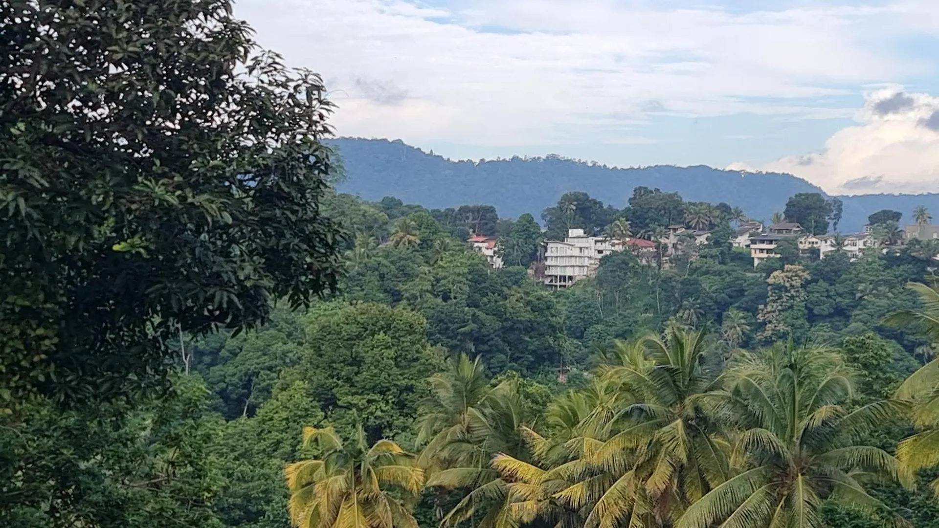 Wagi Villa & Hostel 